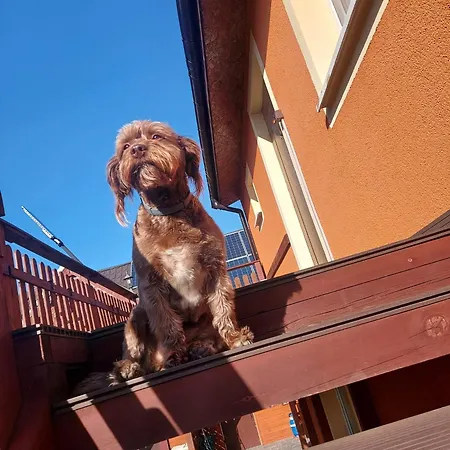 Siedlisko Na Zaciszu *