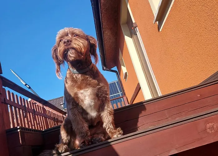 Siedlisko Na Zaciszu *